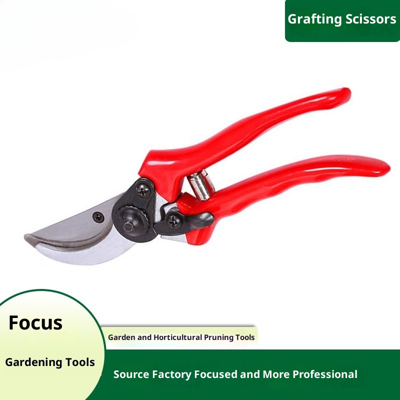 Bonsai Garden Rake - Premium Grafting Pruning Shears Imported Quality