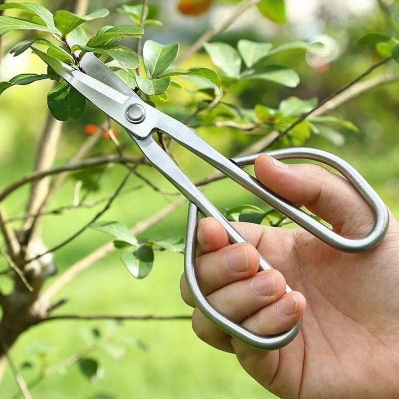 Bonsai Garden Rake - Tender Leaf Scissors Bonsai Tools Branch