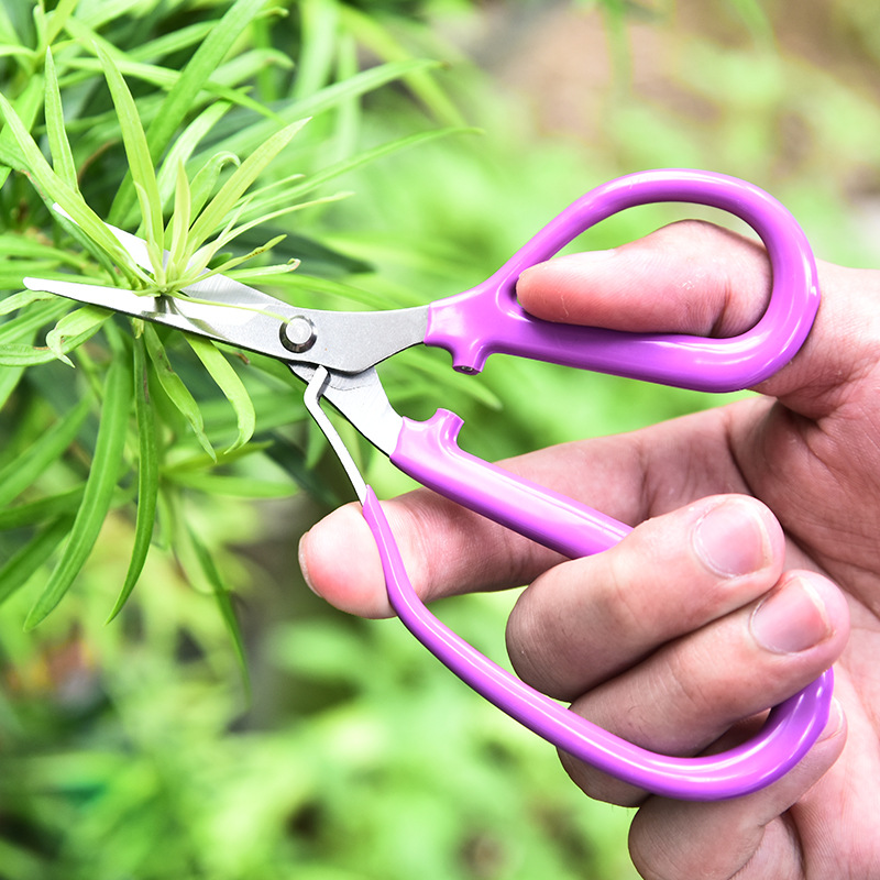 Bonsai Garden Rake - Stainless Steel Pruning Shear Curved Blade