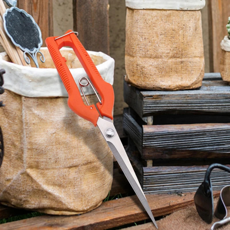 Multi-Purpose Pruning Scissors - Bonsai Garden Rake 리뷰 및 가격