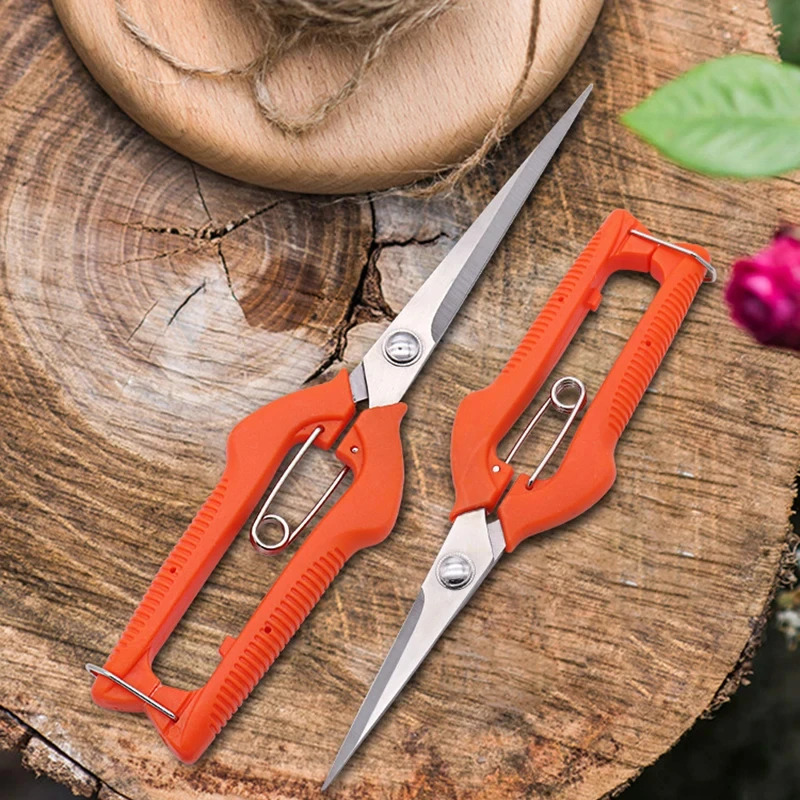Multi-Purpose Pruning Scissors - Bonsai Garden Rake 리뷰 및 가격