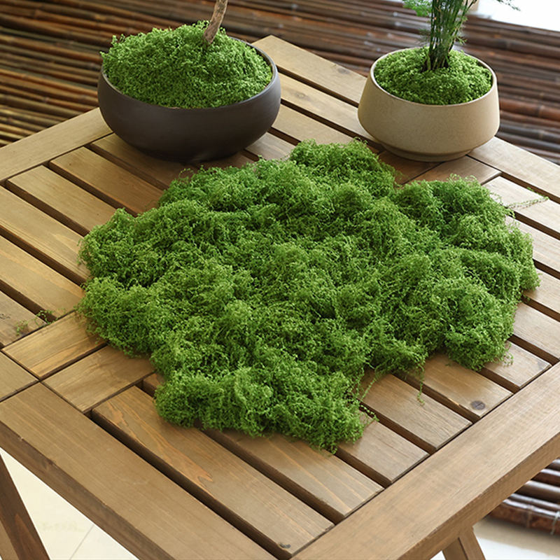 about 20g Artificial Green Pla - Bonsai Garden Decor 리뷰 및 가격