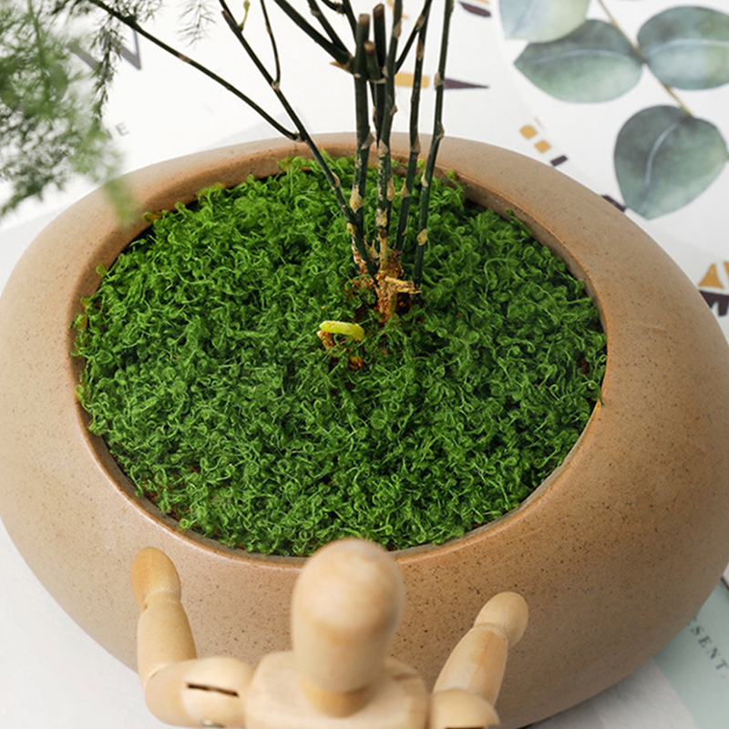 about 20g Artificial Green Pla - Bonsai Garden Decor 리뷰 및 가격