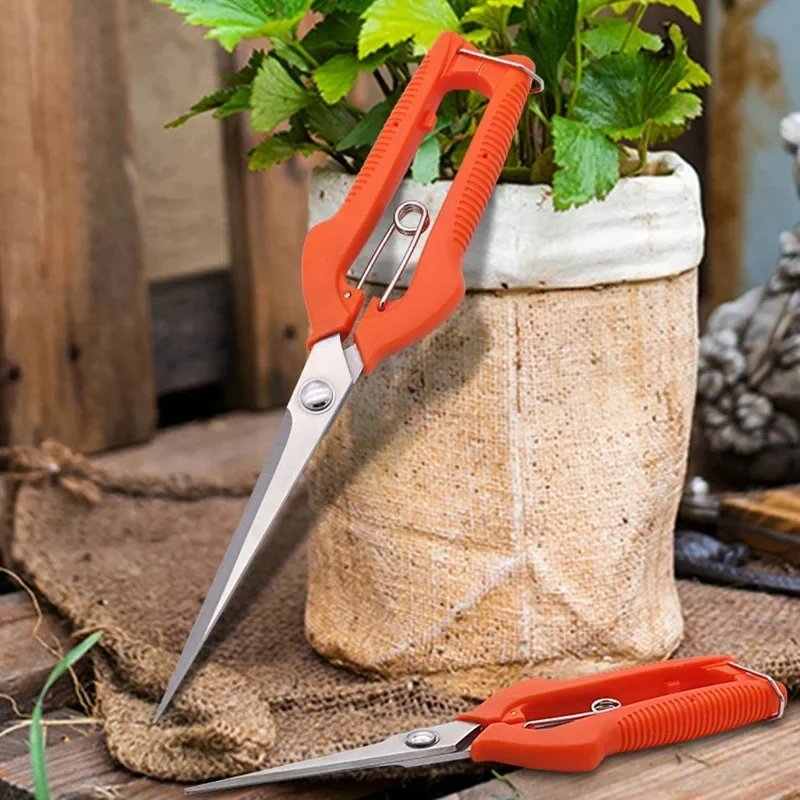 Pruning Shears Grape Scissors  - Bonsai Garden Rake 리뷰 및 가격