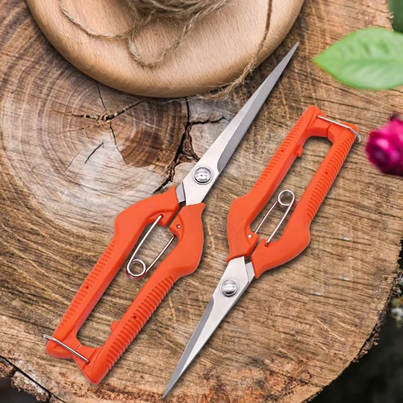 Pruning Shears Grape Scissors  - Bonsai Garden Rake 리뷰 및 가격