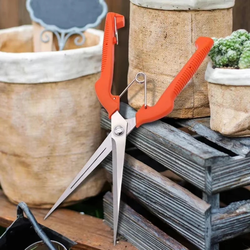 Pruning Shears Grape Scissors  - Bonsai Garden Rake 리뷰 및 가격