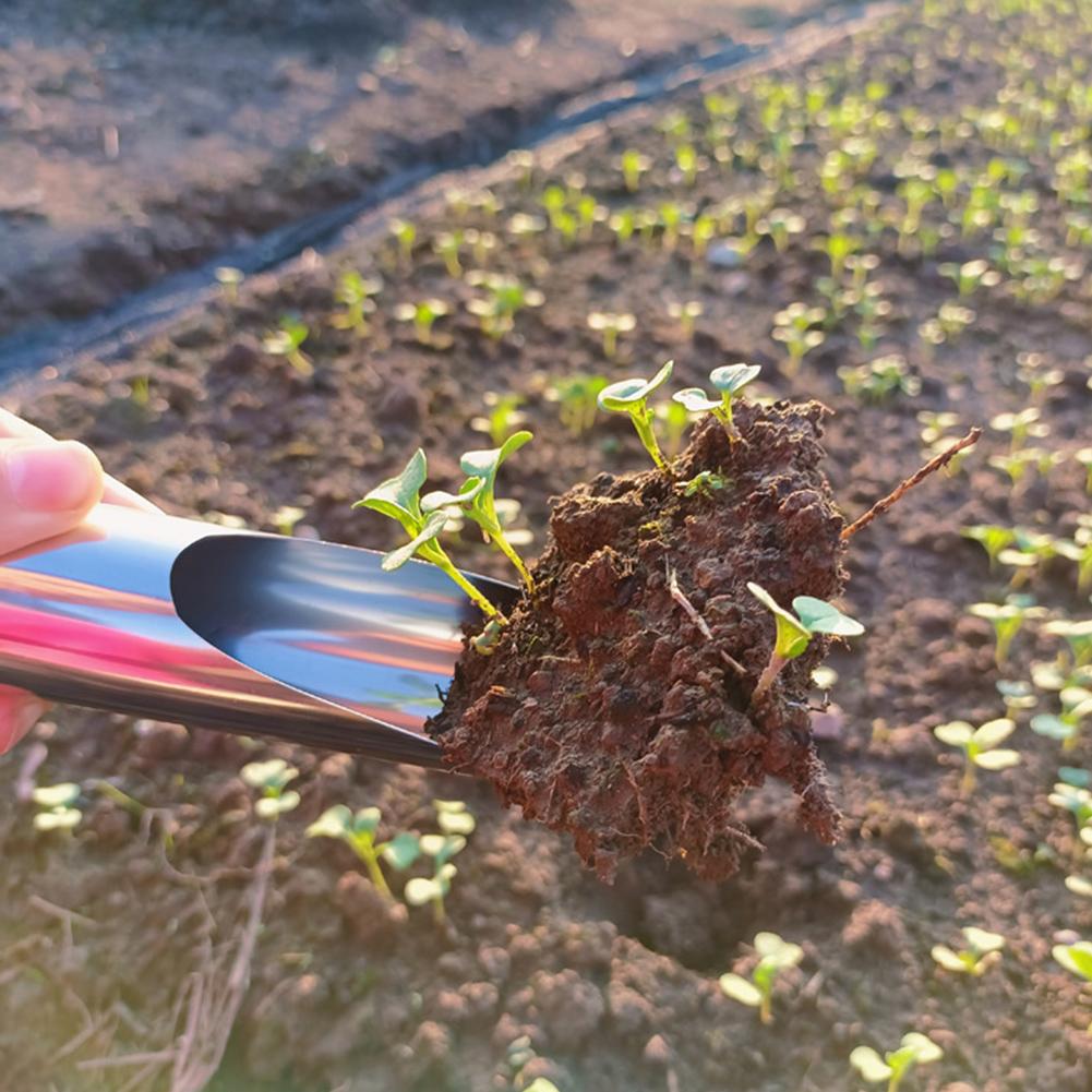 Garden Bucket Tool Steel Garde - Bonsai Garden Rake 리뷰 및 가격