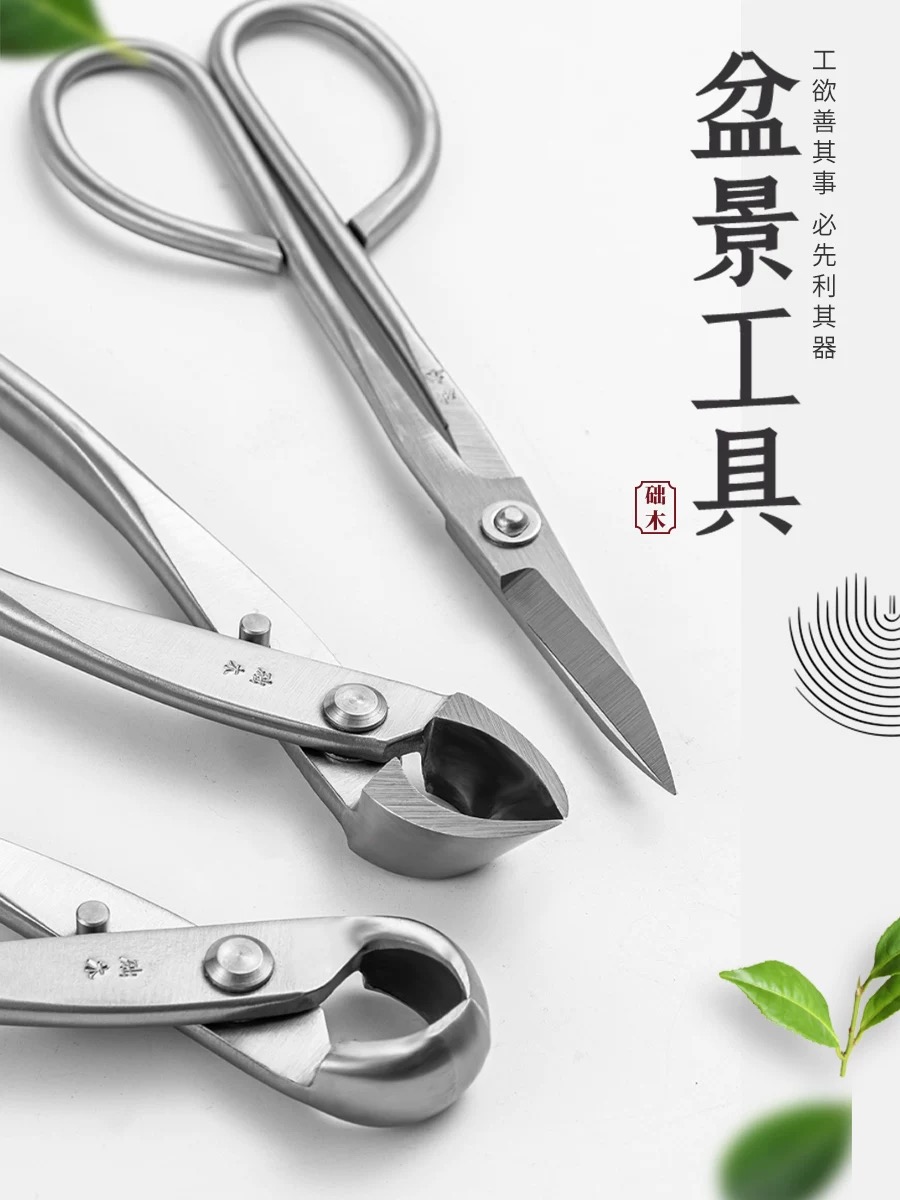 Bonsai Tools Set (3pcs) Branch - Bonsai Garden Rake 리뷰 및 가격