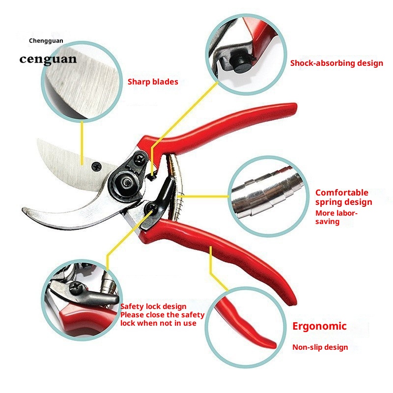 Premium Grafting Pruning Shear - Bonsai Garden Rake 리뷰 및 가격