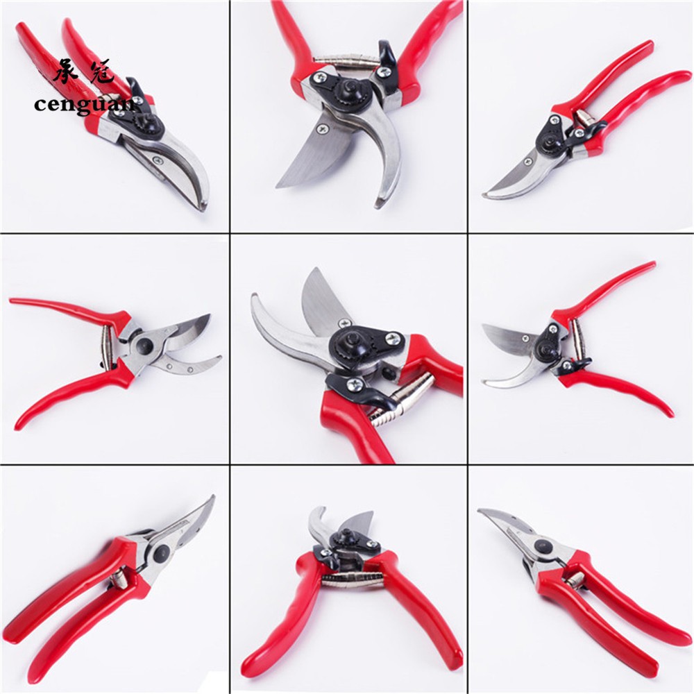 Premium Grafting Pruning Shear - Bonsai Garden Rake 리뷰 및 가격