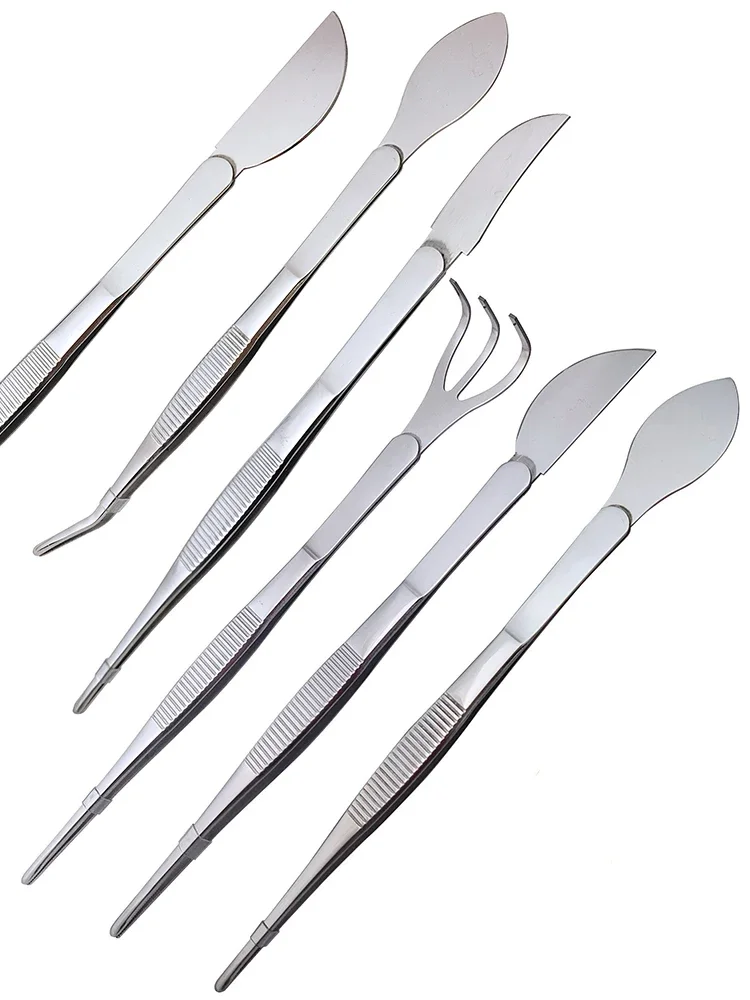1pc 2-in-1  304 Stainless Stee - Bonsai Garden Rake 리뷰 및 가격