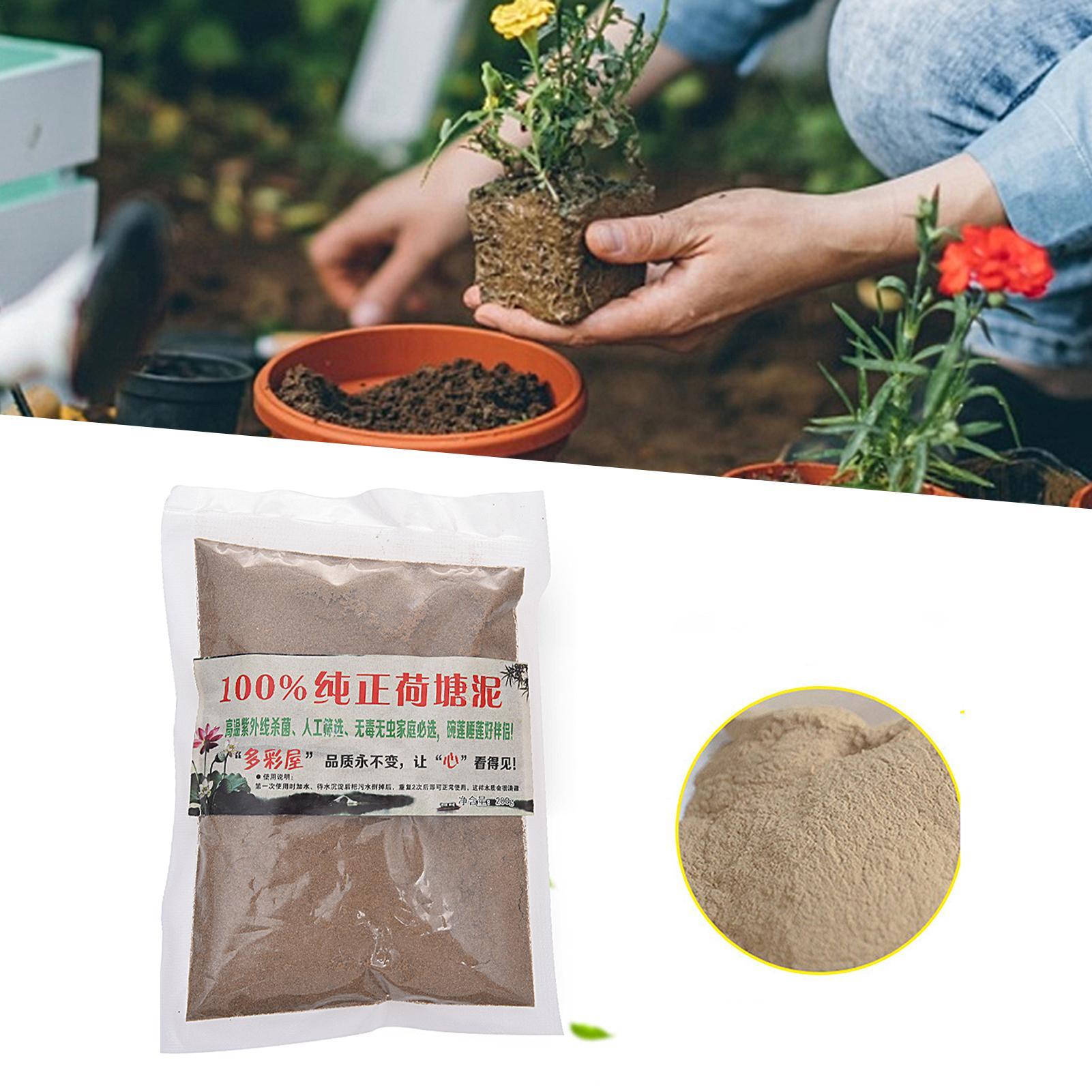 Natural Lotus Pond Mud Garden  - Bonsai Garden With Pond 리뷰 및 가격