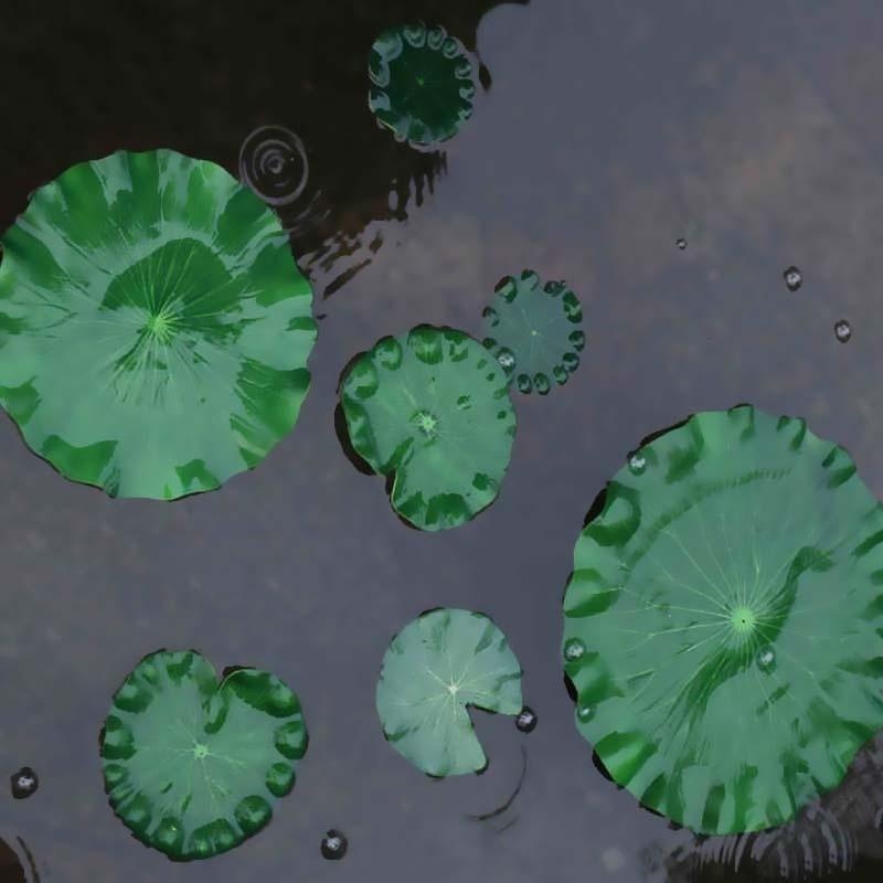 2026 Artificial Water Lily Lot - Bonsai Garden With Pond 리뷰 및 가격