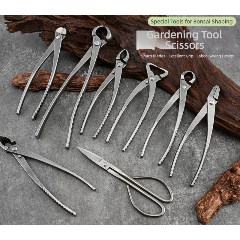 Bonsai Pruning Shears Set Gard - Bonsai Garden Rake 리뷰 및 가격