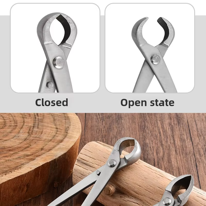 Bonsai Pruning Shears Set Gard - Bonsai Garden Rake 리뷰 및 가격