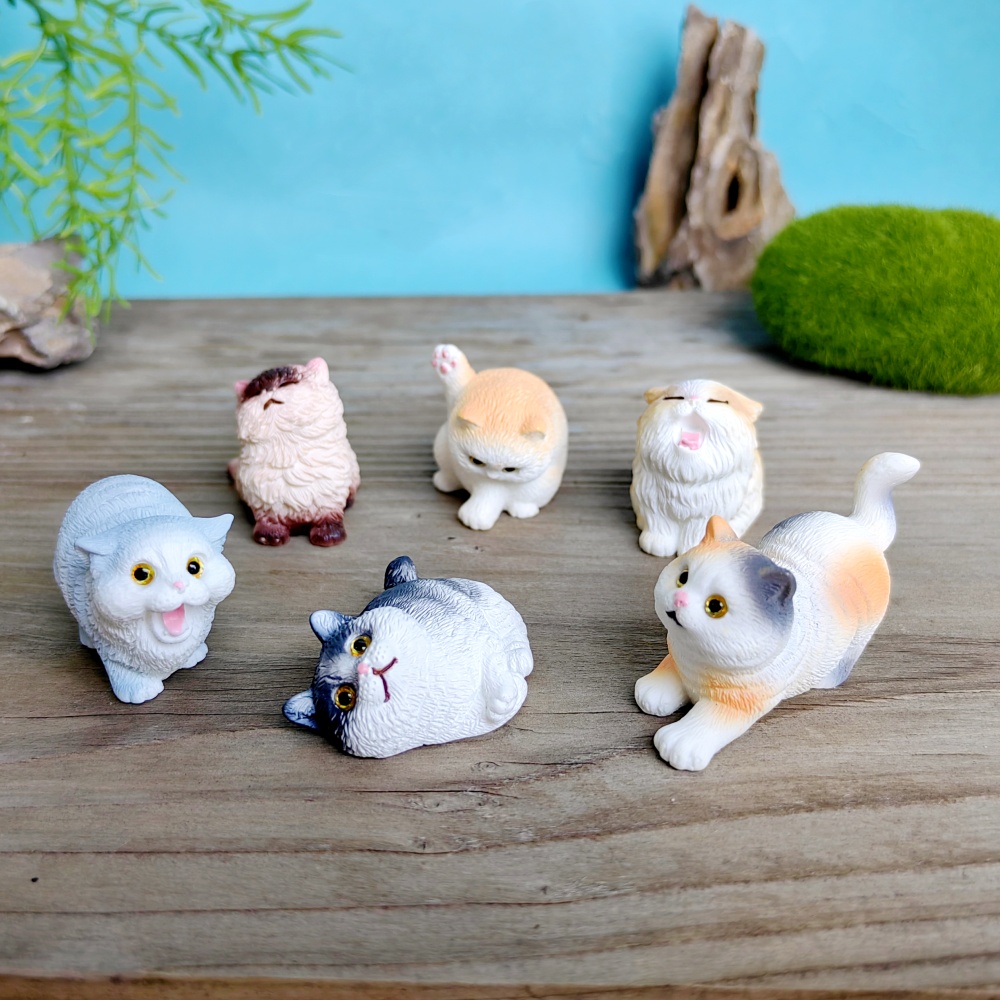 6pc Cute Cat Dog Set Animal Gi - Bonsai Garden Gift 리뷰 및 가격