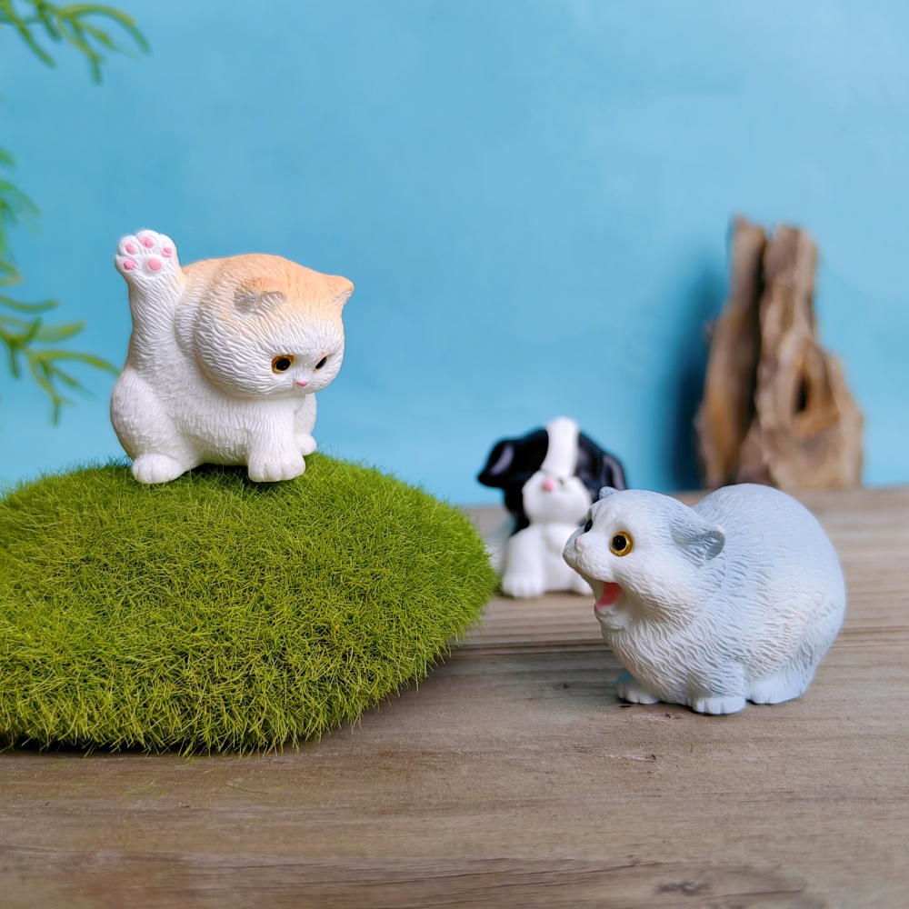 6pc Cute Cat Dog Set Animal Gi - Bonsai Garden Gift 리뷰 및 가격