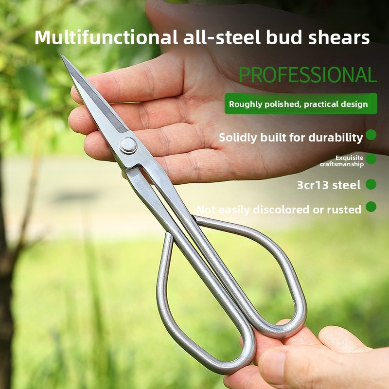 Tender Leaf Scissors Bonsai To - Bonsai Garden Rake 리뷰 및 가격