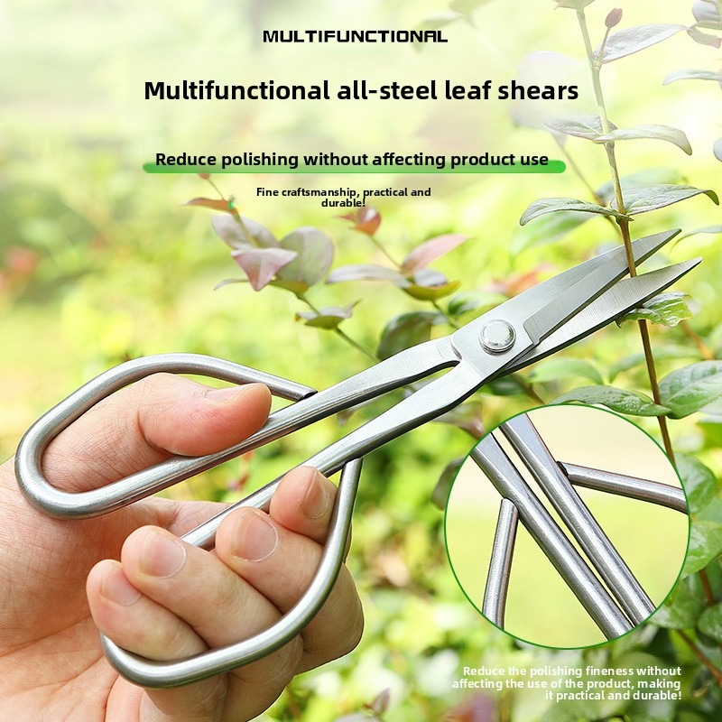 Tender Leaf Scissors Bonsai To - Bonsai Garden Rake 리뷰 및 가격