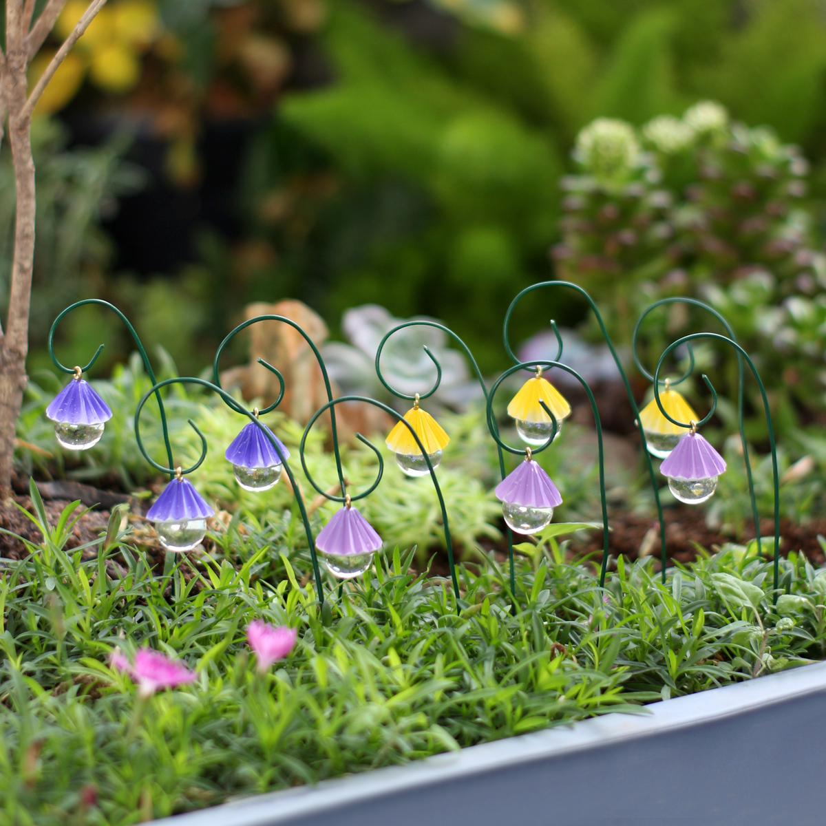 9 fan-shaped water droplet han - Bonsai Garden Decor 리뷰 및 가격