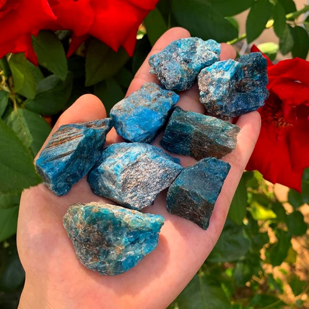 40g/120g/240g Natural Blue Apa - Bonsai Garden Gift 리뷰 및 가격
