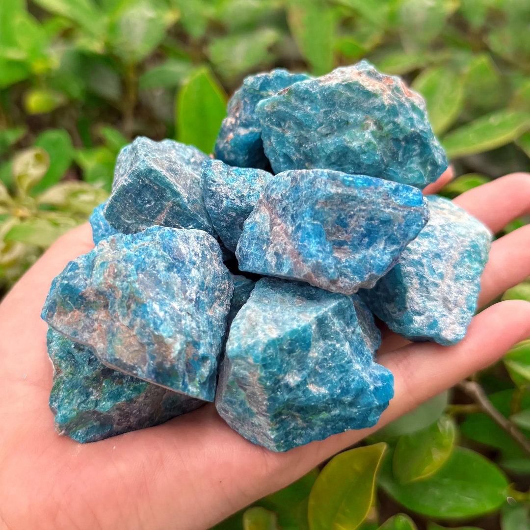 40g/120g/240g Natural Blue Apa - Bonsai Garden Gift 리뷰 및 가격