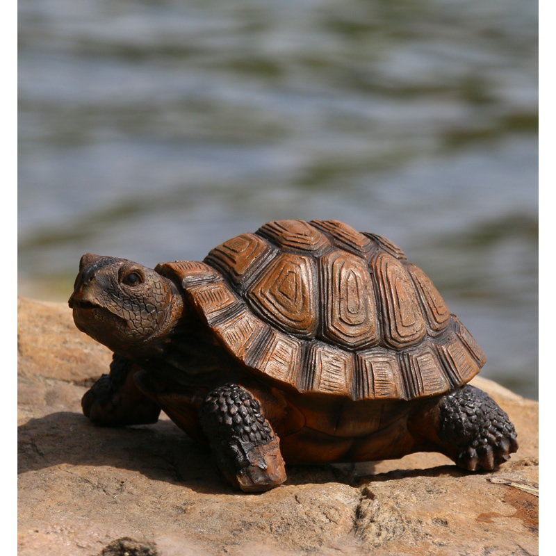 Cute Resin Tortoise Statue Out - Bonsai Garden With Pond 리뷰 및 가격