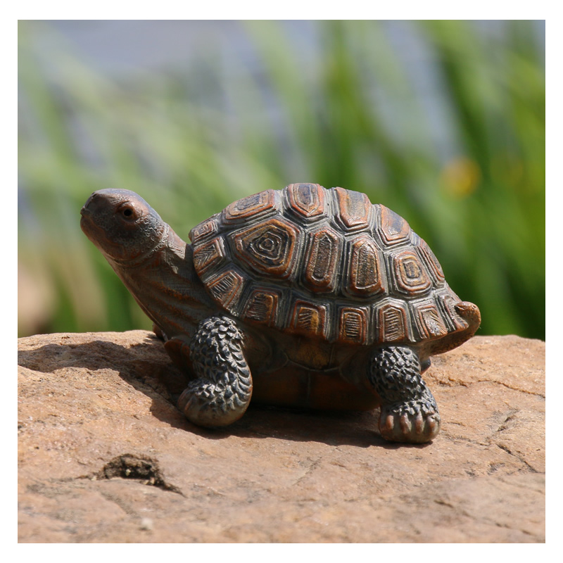 Cute Resin Tortoise Statue Out - Bonsai Garden With Pond 리뷰 및 가격