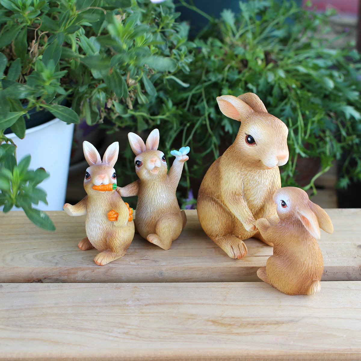 Game Rabbit Set Outdoor, Court - Bonsai Garden Gift 리뷰 및 가격