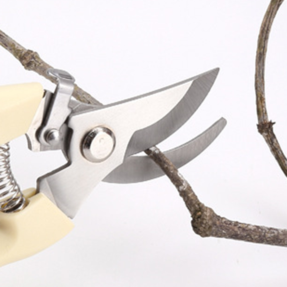 Pruner Shears Hand Tools Bonsa - Bonsai Garden Rake 리뷰 및 가격