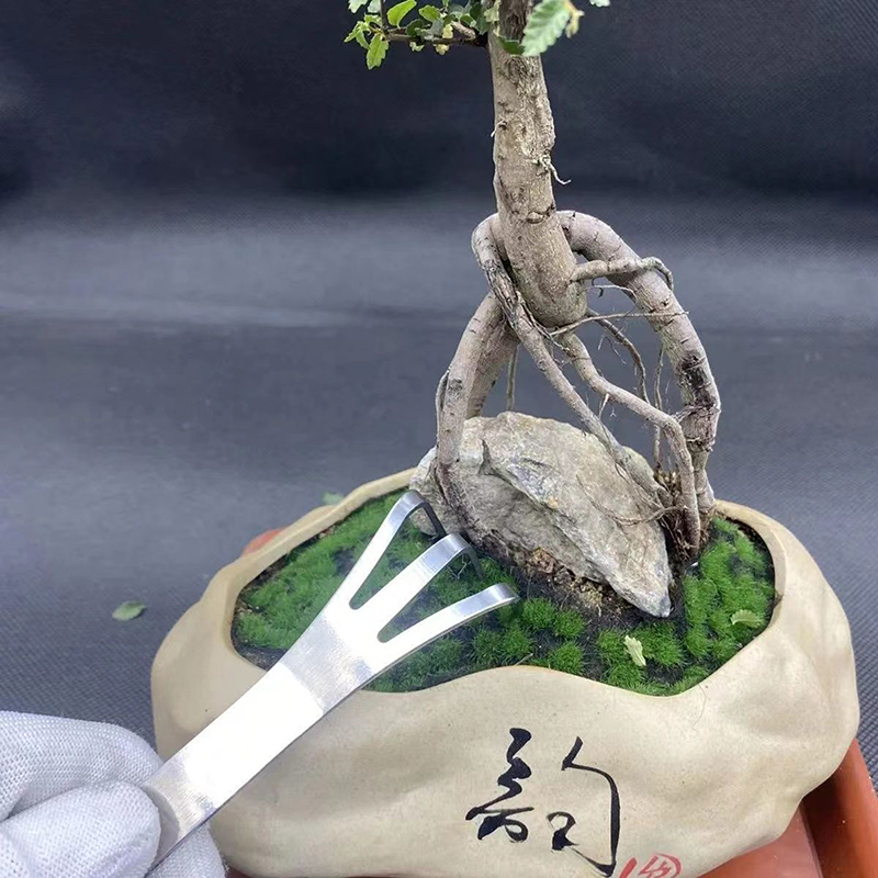 1PC Stainless Steel Root Rake  - Bonsai Garden Rake 리뷰 및 가격