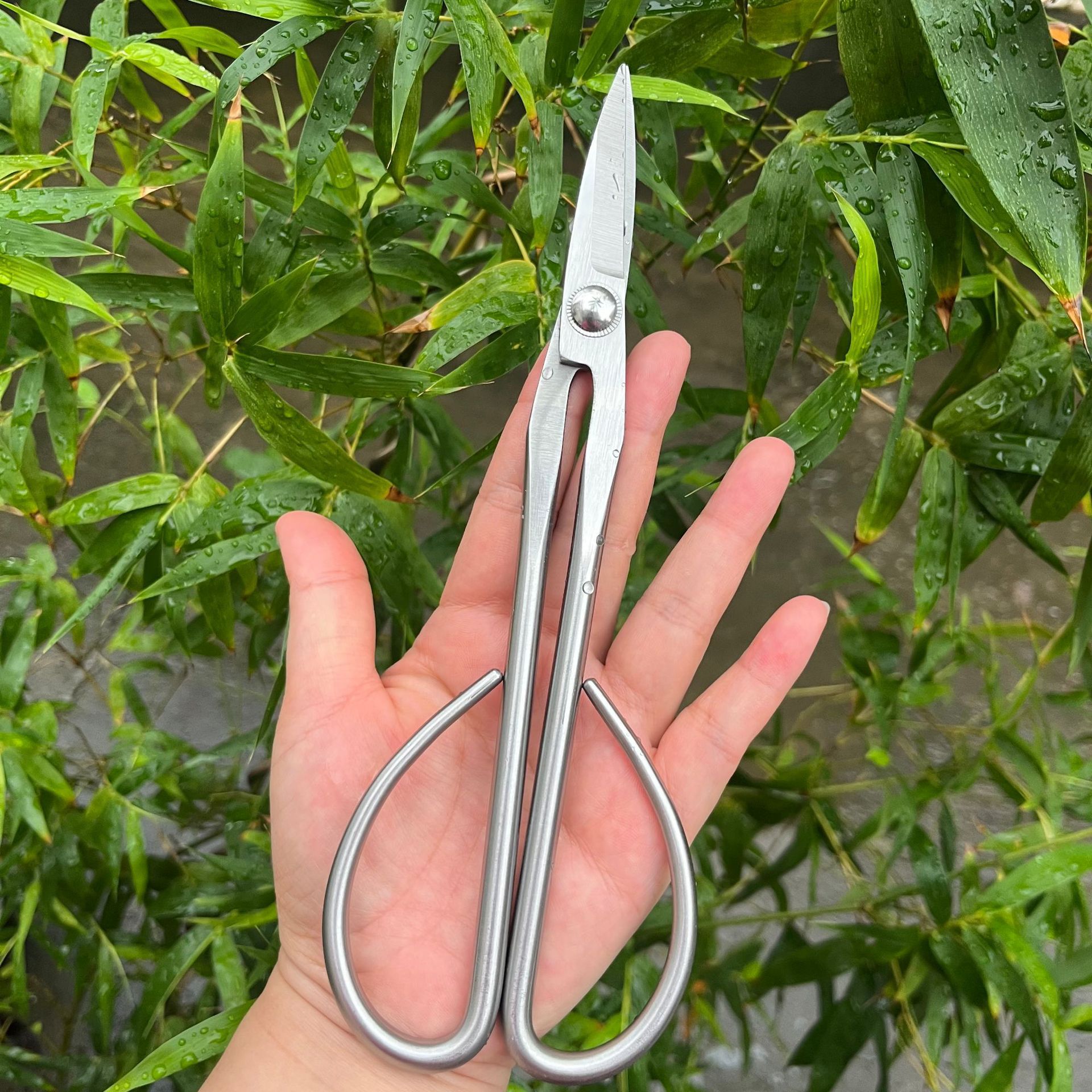 All Steel Scissors Garden Bons - Bonsai Garden Rake 리뷰 및 가격