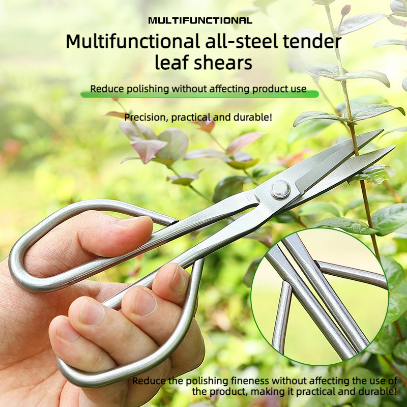 All Steel Scissors Garden Bons - Bonsai Garden Rake 리뷰 및 가격