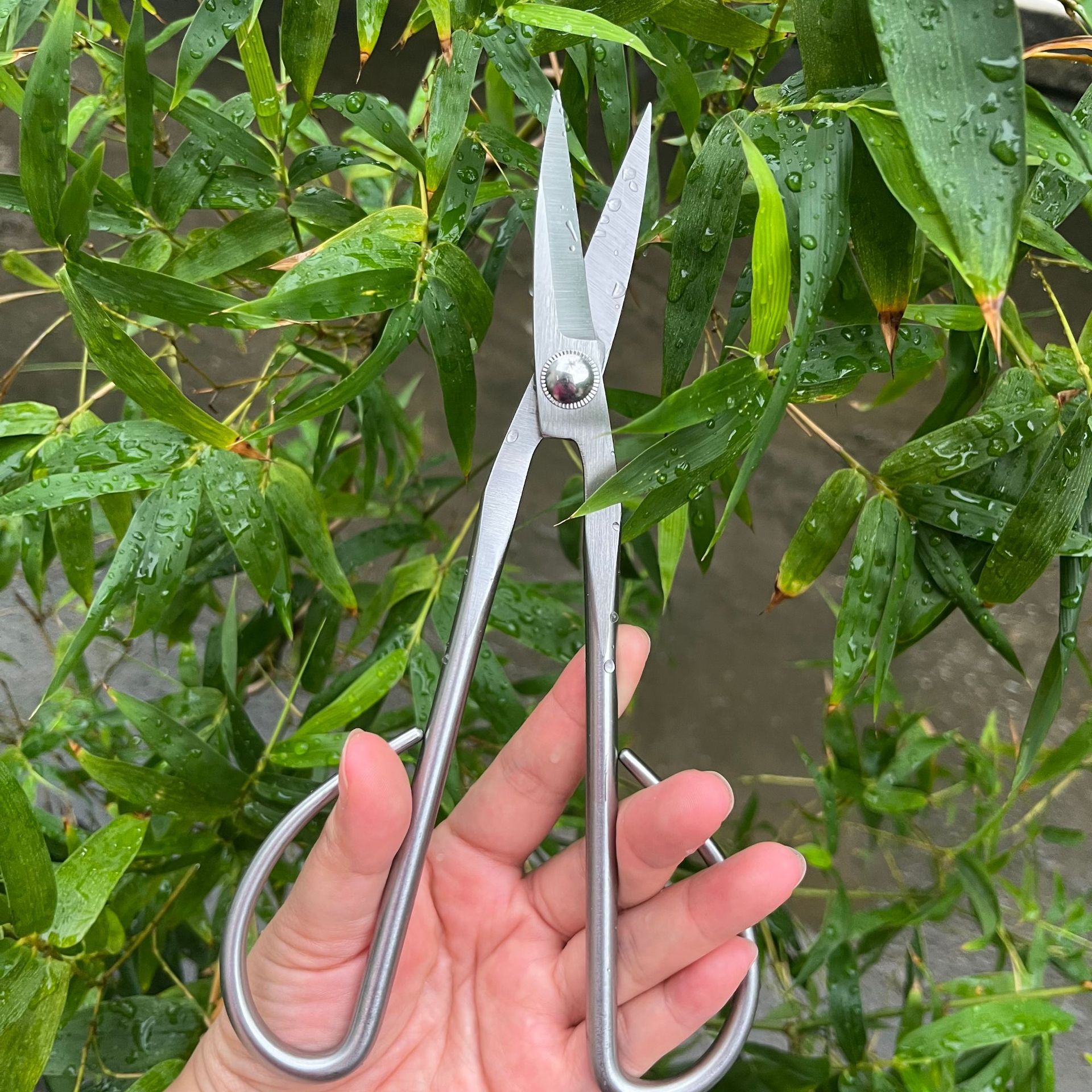 All Steel Scissors Garden Bons - Bonsai Garden Rake 리뷰 및 가격