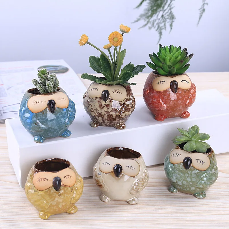 Mini Ceramic Owl Succulent Pla - Bonsai Garden Gift 리뷰 및 가격