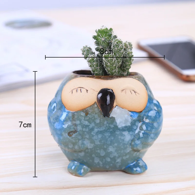 Mini Ceramic Owl Succulent Pla - Bonsai Garden Gift 리뷰 및 가격