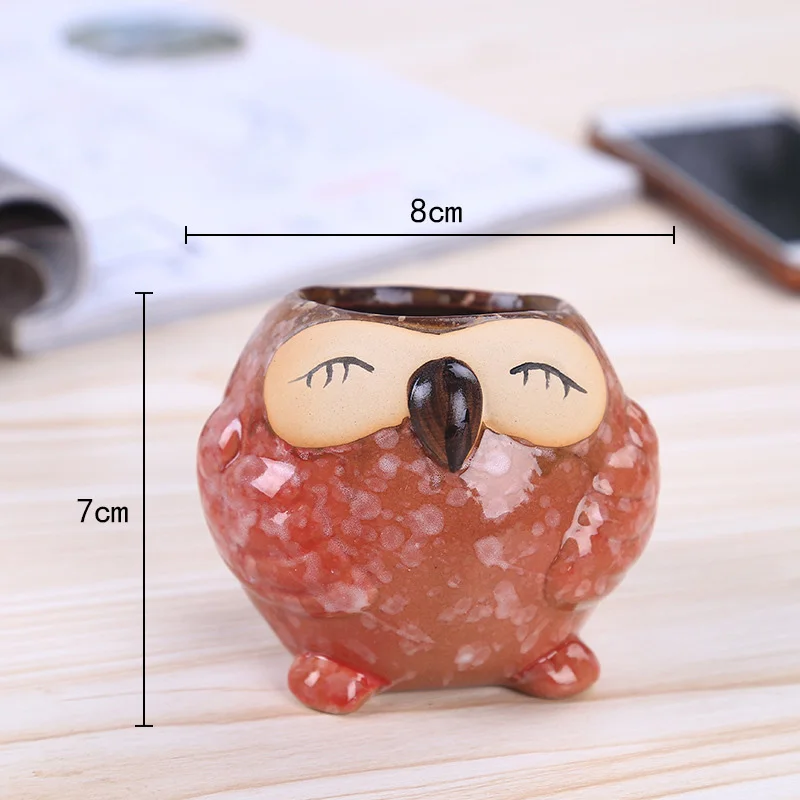 Mini Ceramic Owl Succulent Pla - Bonsai Garden Gift 리뷰 및 가격