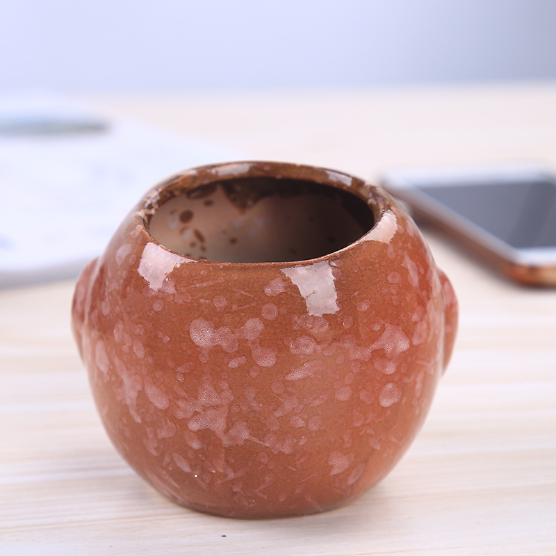 Mini Ceramic Owl Succulent Pla - Bonsai Garden Gift 리뷰 및 가격