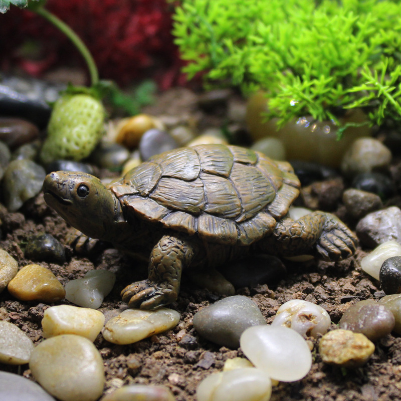 Little Turtle Model Resin Stat - Bonsai Garden With Pond 리뷰 및 가격