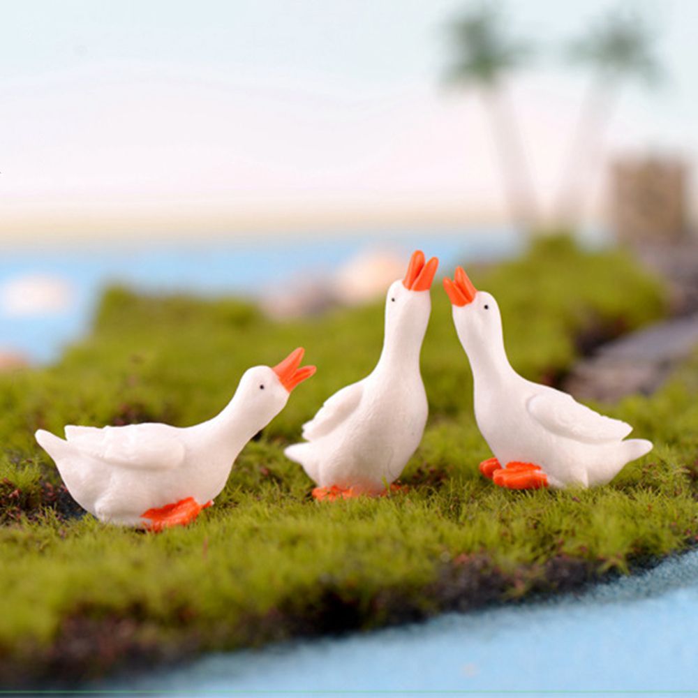 Decor Resin Fairy Garden Acces - Bonsai Garden Gift 리뷰 및 가격