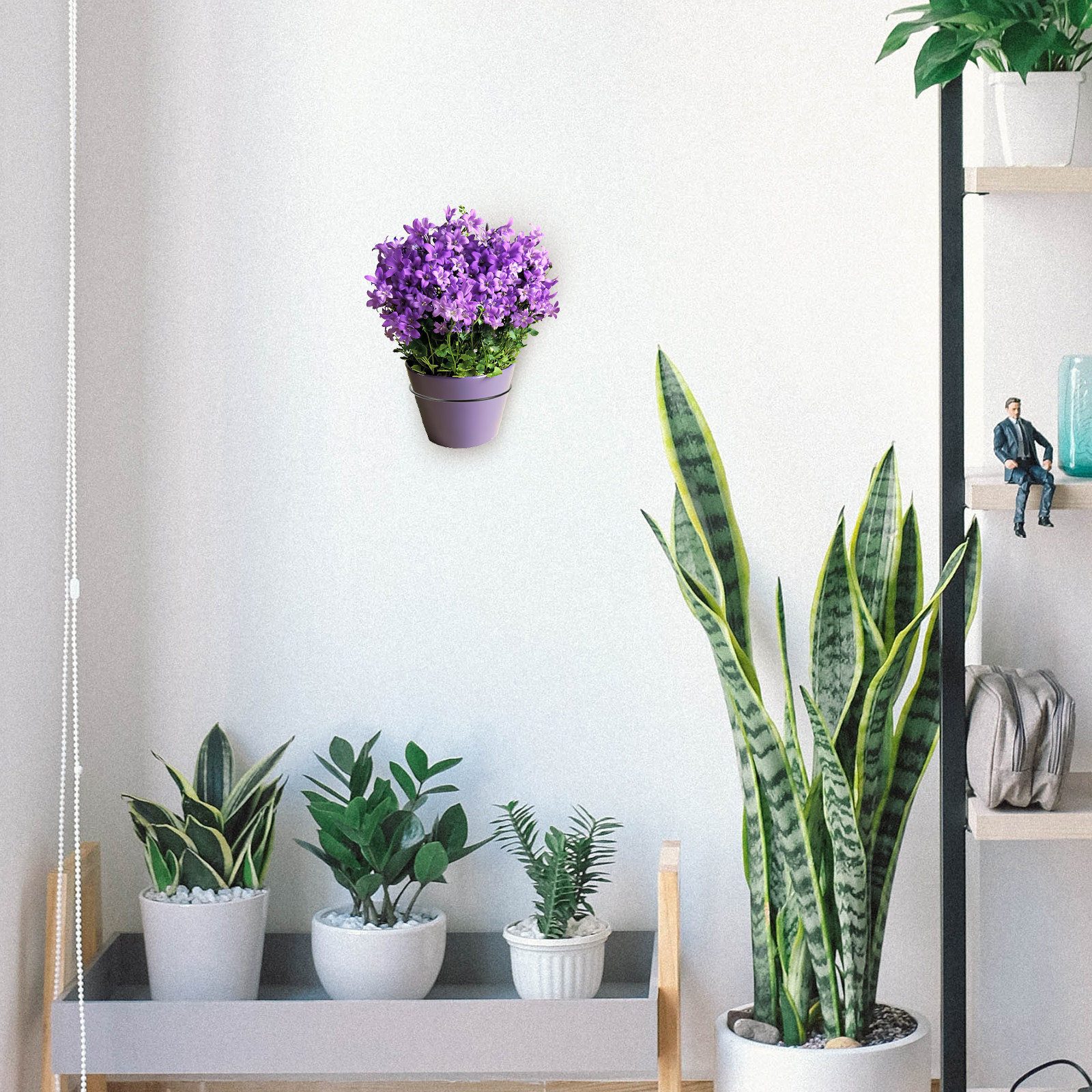 Iron Wall-Mounted Flowerpot Ra - Bonsai Garden Decor 리뷰 및 가격