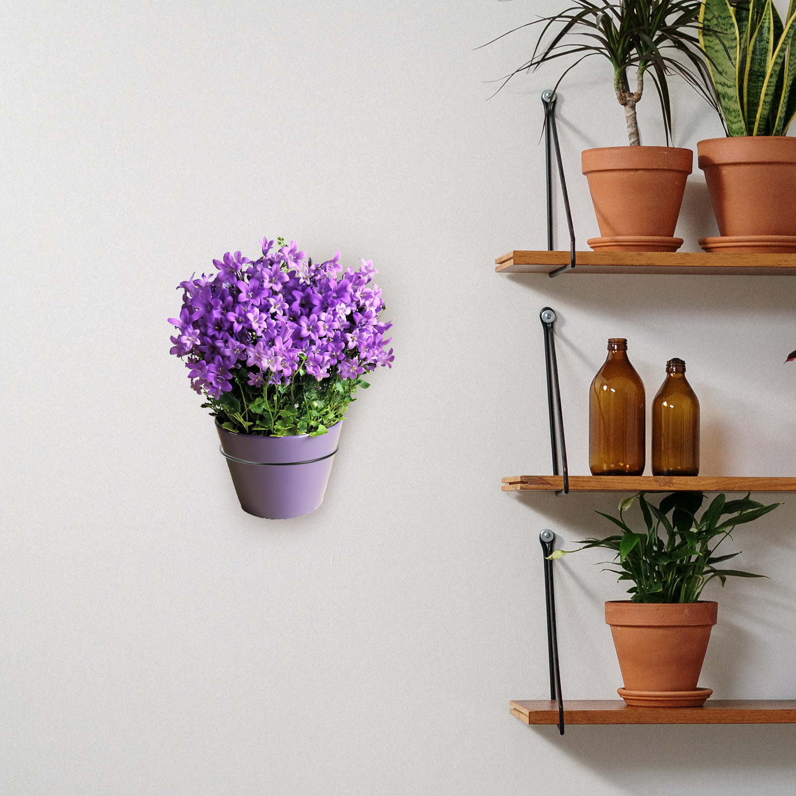 Iron Wall-Mounted Flowerpot Ra - Bonsai Garden Decor 리뷰 및 가격
